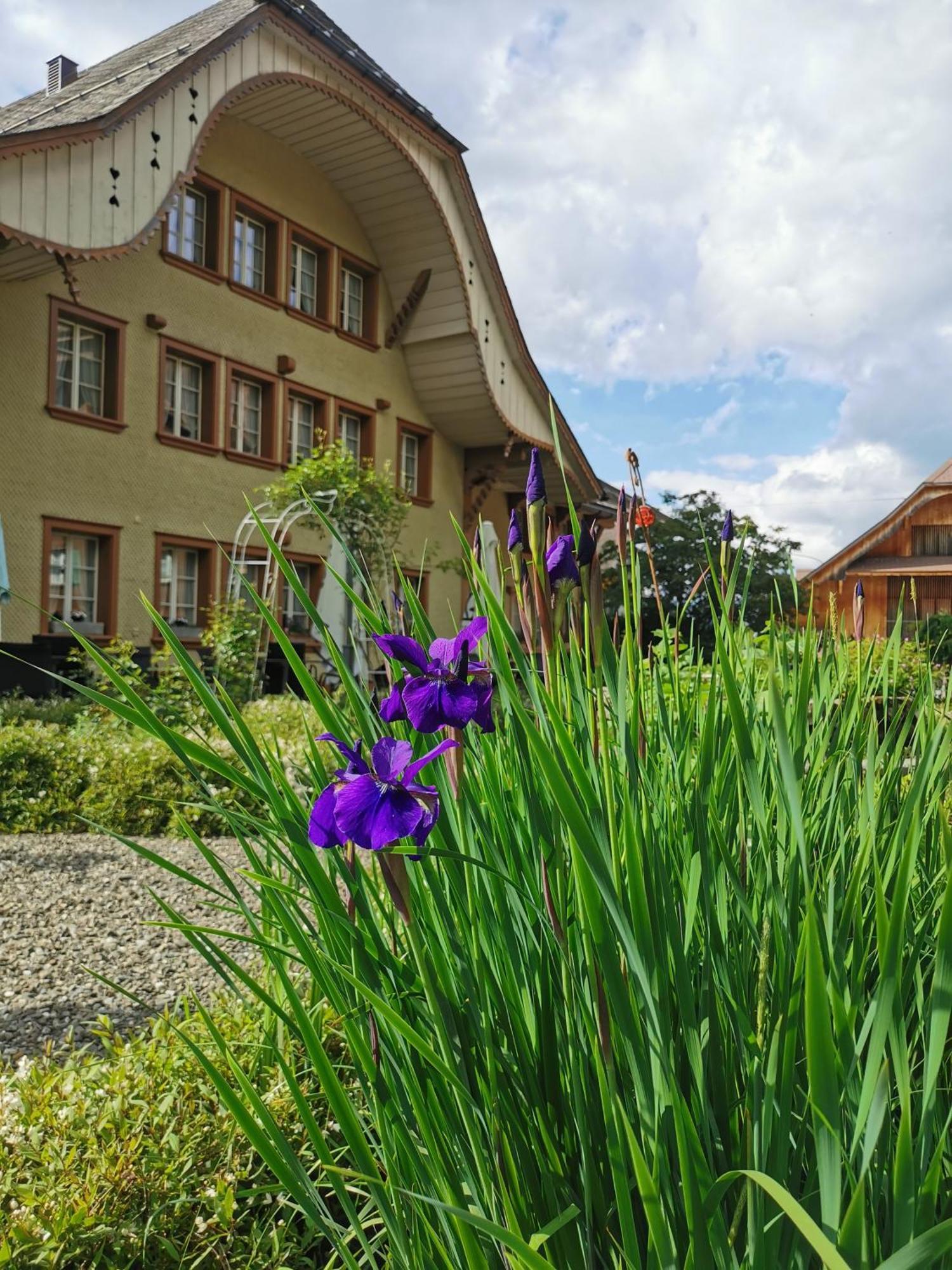 Gasthof Kreuz Marbach Экстерьер фото